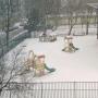 Sohel Chowdhury Photo 23
