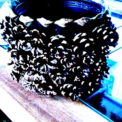 Heidi Mitchell Photo 29