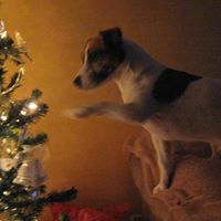 Jamie Rudder Photo 12