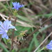 Jesse Small Photo 11