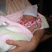 Allison Bowden Photo 11
