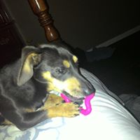 Sherry Goode Photo 4