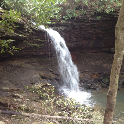Becky Larson Photo 7
