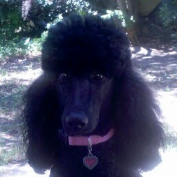Judy Lowe Photo 2