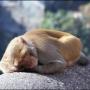 David Potter Photo 27