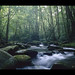 Joyce Borders Photo 12