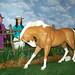Debra Prather Photo 16