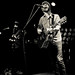 Tim Williams Photo 38