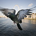 Jon Cartwright Photo 2