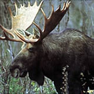 Jonathan Mathes Photo 19