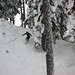 Steven Shelby Photo 17