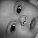 Nicholas Ryan Photo 26