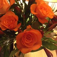 Elizabeth Hooker Photo 18