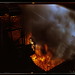 Arthur Siegel Photo 17