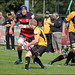 David Moseley Photo 18