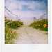Cynthia West Photo 16