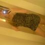 Deborah Kohler Photo 15