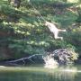 Terry Howes Photo 21