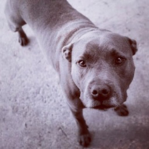 James Knowler Photo 3