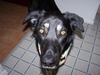 Susan Mcgrath Photo 14