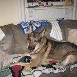 Gail Mowery Photo 10