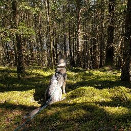 Anna Wahlgren Photo 9
