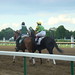 Todd Haskell Photo 22