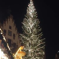 Gayle Brooker Photo 6