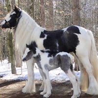 Amy Jacobs Photo 31