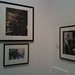 David Koos Photo 5