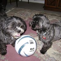 Deborah Alfano Photo 4