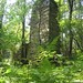 Glenn Gillis Photo 14