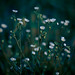 Rich Summers Photo 5