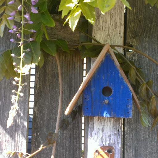 Cheryl Hanson Photo 16