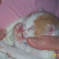 Kathy Sherman Photo 39