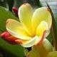 Lily Lin Photo 7