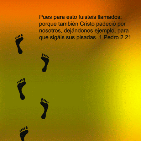 Minerva Cruz Photo 11