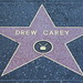 Allison Carey Photo 12