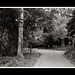Pui Yuen Photo 9