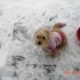 Betty Lang Photo 23