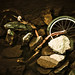 Jason Moody Photo 38