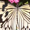 Margaret Needham Photo 19