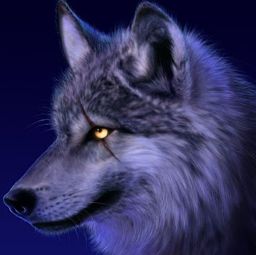Jacob Lieberman Photo 6