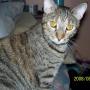 Shirley Ray Photo 31