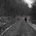 Mary Carlile Photo 13