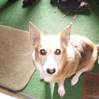 Jessie Tuttle Photo 3