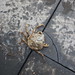 Michael Giddens Photo 9