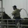 Bruce Bowman Photo 8