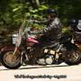 Bill Shaffer Photo 27