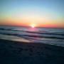 Dianne Harmon Photo 18